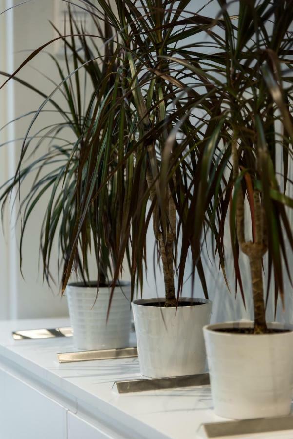 Central Cozy Studio With A Secret Garden Athene Buitenkant foto